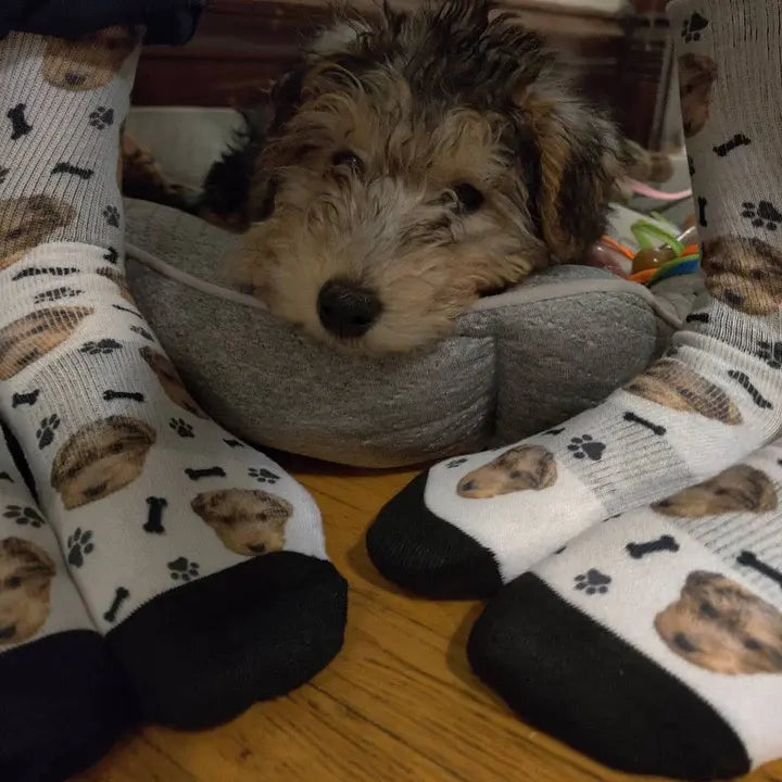 Custom Dog Socks