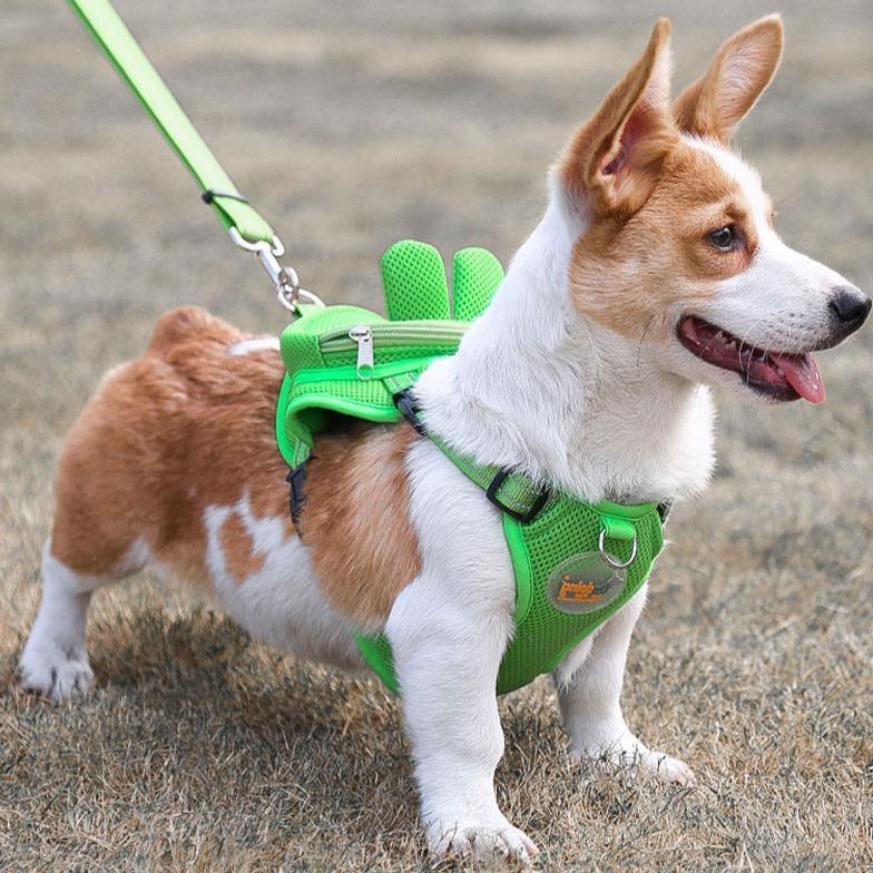 Backpack Harness Set