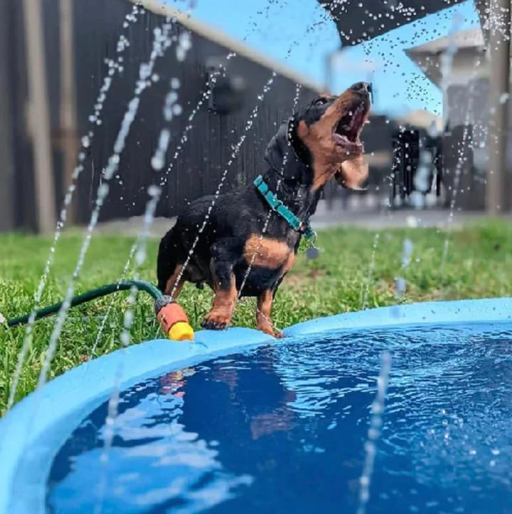 Splash Sprinkler Pad