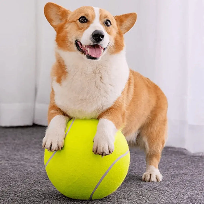 Giant Tennis Ball