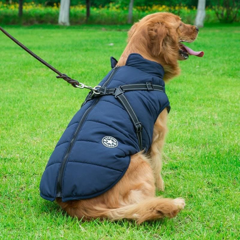 Waterproof Winter Jacket + Harness