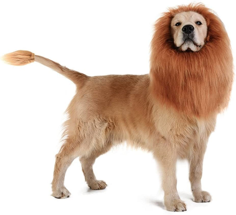 Lion Dog Costume