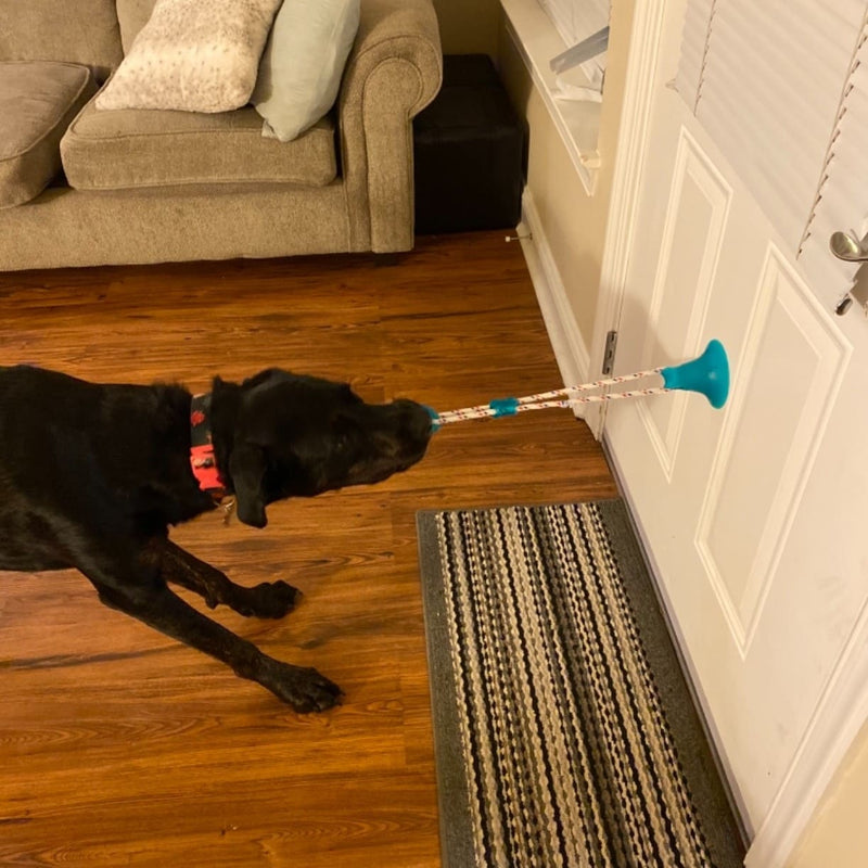 Suction Cup Tug Toy