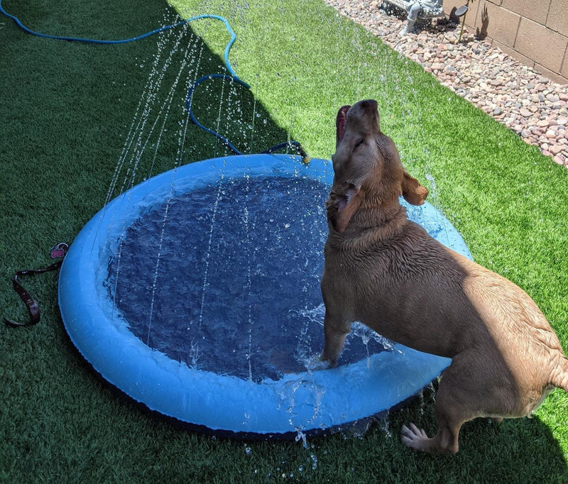 Splash Sprinkler Pad