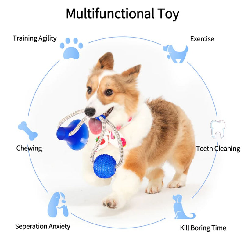 Suction Cup Tug Toy