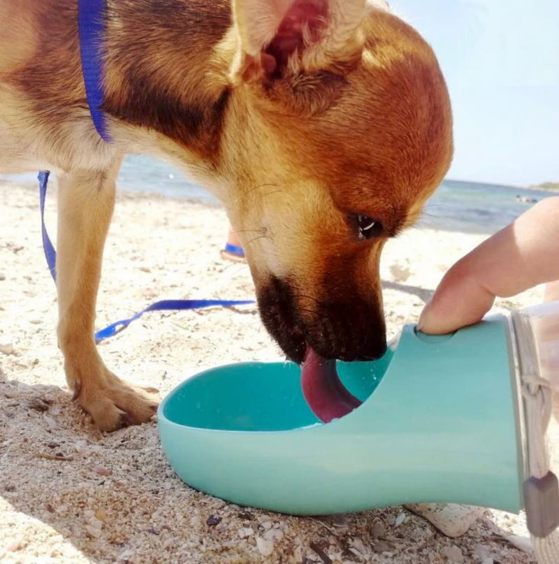 Pet Water Bottle