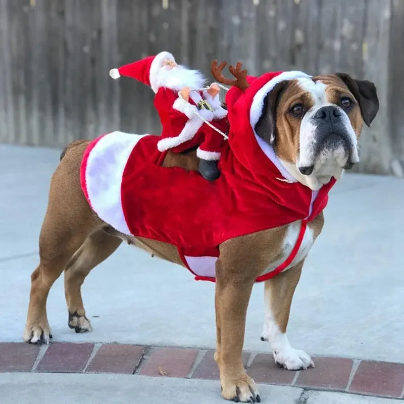 Santa's Reindeer Costume