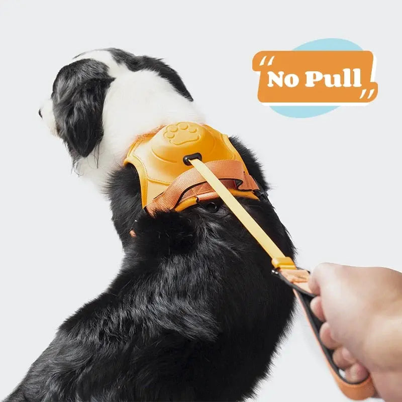 No Pull Adjustable Harness & Leash