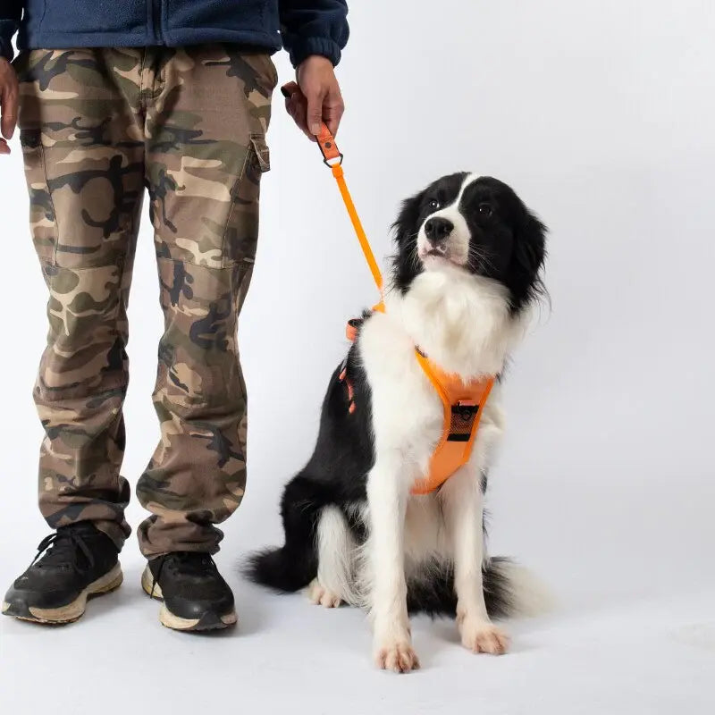 No Pull Adjustable Harness & Leash