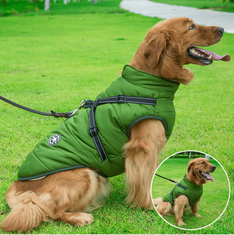 Waterproof Winter Jacket + Harness