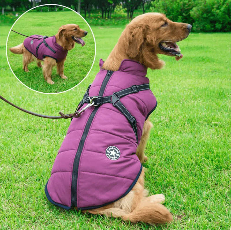 Waterproof Winter Jacket + Harness