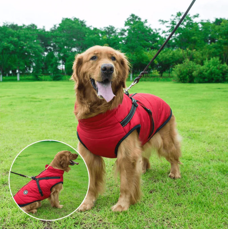 Waterproof Winter Jacket + Harness