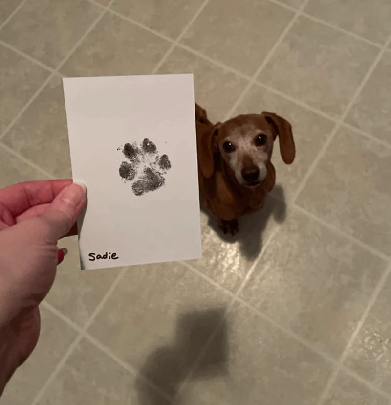 Paw Print Stamp Pad