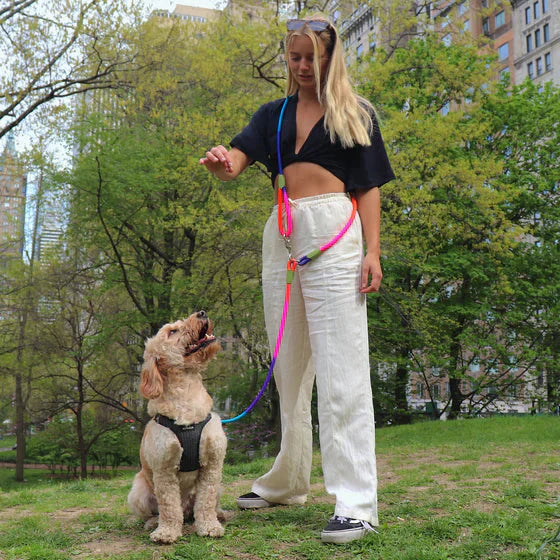 Hands-Free Leash