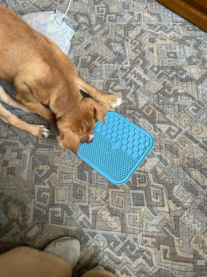 Calming Lick Mat