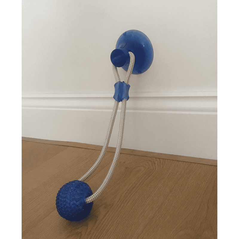 Suction Cup Tug Toy