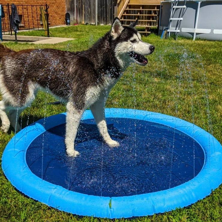 Splash Sprinkler Pad