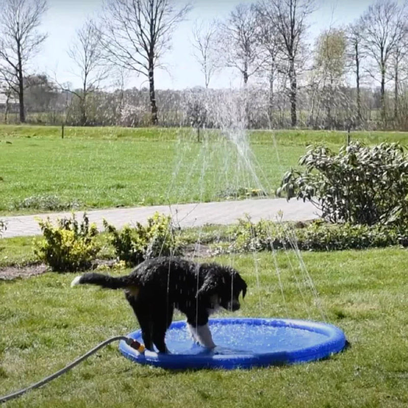 Splash Sprinkler Pad