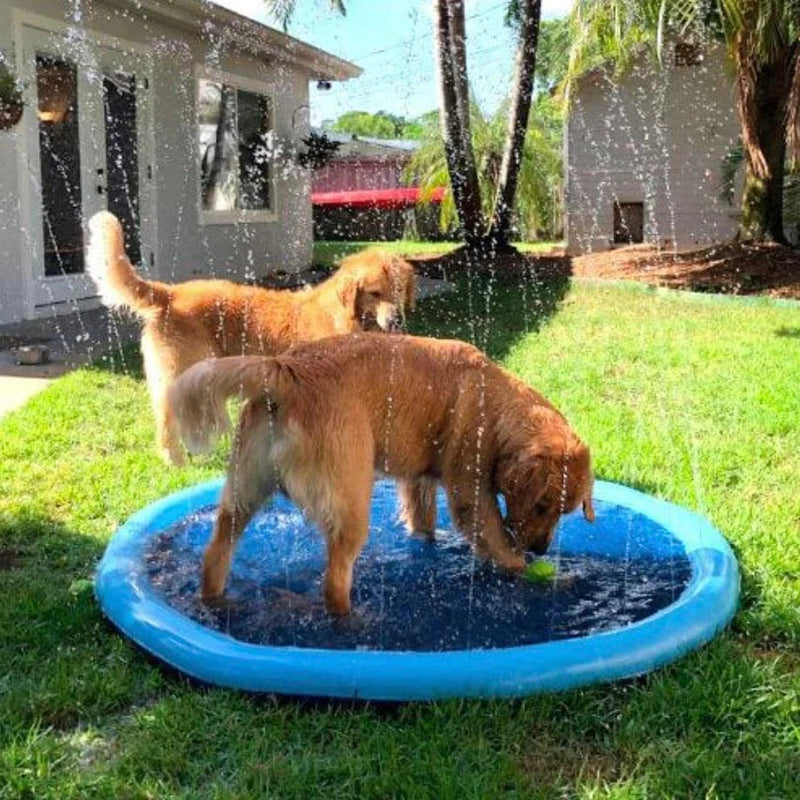 Splash Sprinkler Pad