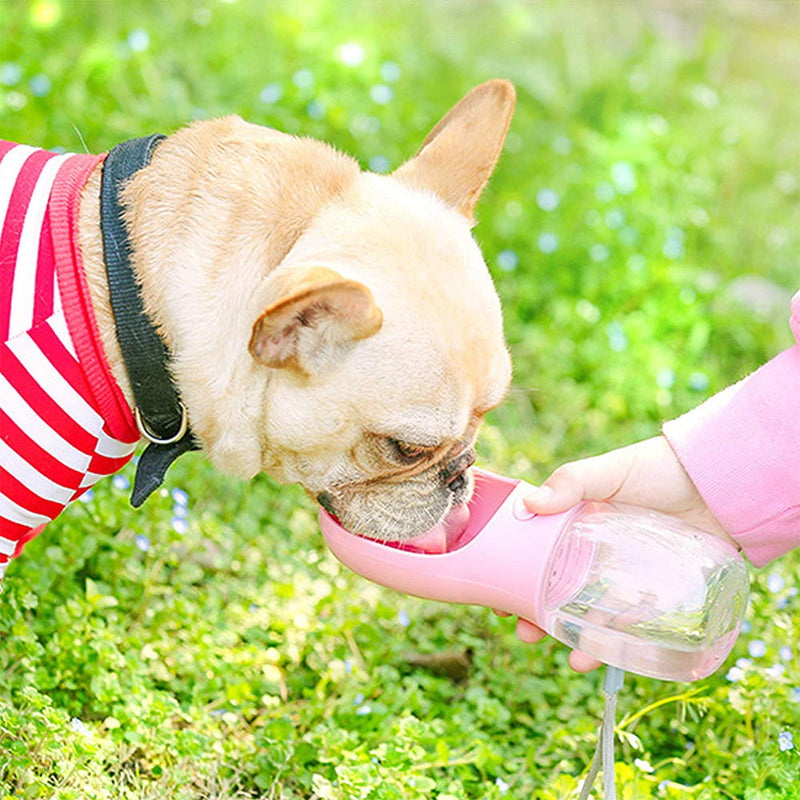 Pet Water Bottle