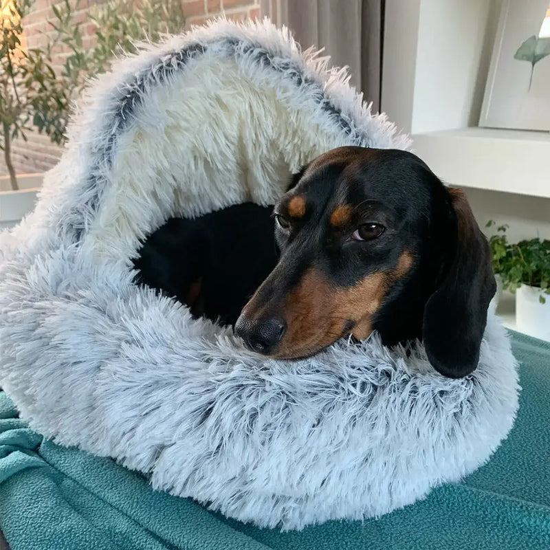 Calming Plush Dog Bed