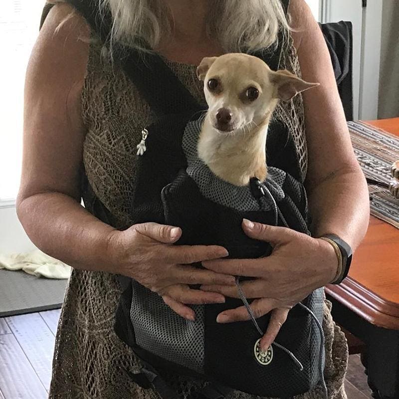 Comfy Dog BackPack